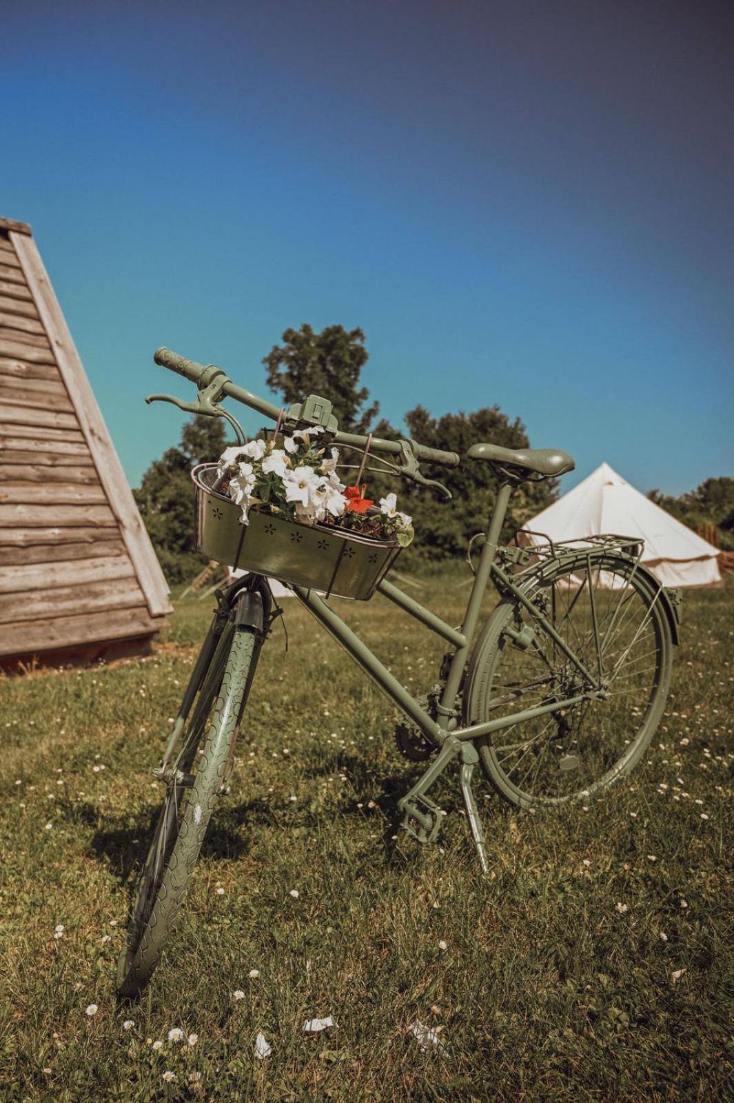 Greenvalleyglamping Sesce Pri Preboldu Exteriér fotografie